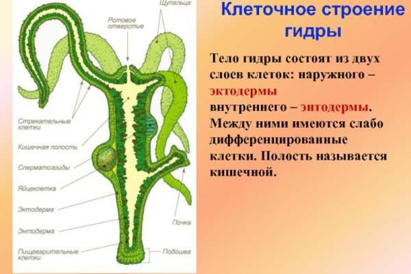 Кракен сайт тор ссылка