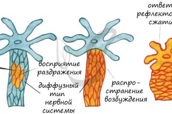 Кракен ссылка стор