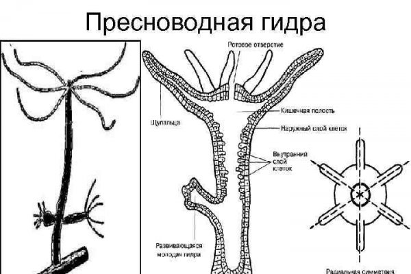 Не могу зайти в кракен