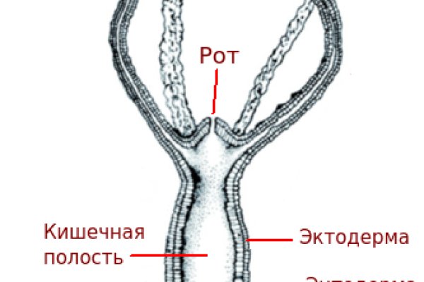 Кракен сайт ссылки актуальные